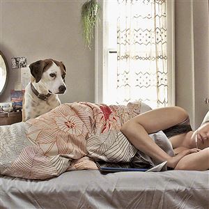 Ned the dog and Allison Tolman in ABC's 