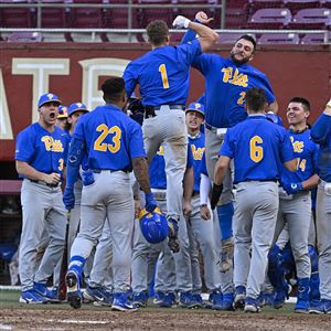 Pitt baseball wins first series of year, defeating Presbyterian