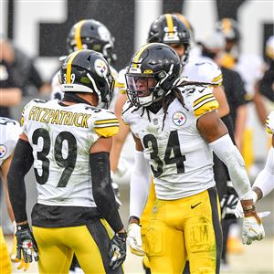 Jacksonville, United States. 22nd Nov, 2020. Steelers Safety Terrell  Edmunds (34) celebrates an interception as the Pittsburgh Steelers compete  against the Jaguars at the TIAA Bank Field in Jacksonville, Florida on  Sunday