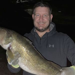 Unpredictable winters are making life difficult for Great Lakes walleye