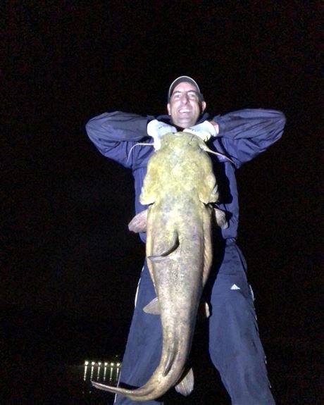 Another monster catfish: 43-pounder pulled from Ohio River