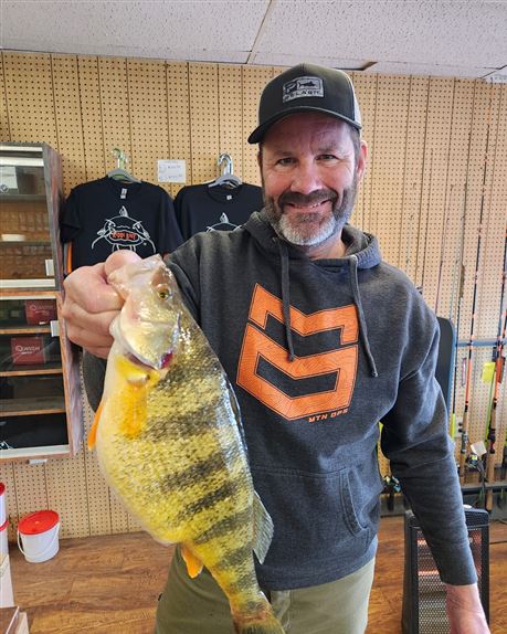 Pennsylvania's largest perch, caught off Presque Isle, won't set a new  state record