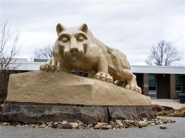 A replica of the Penn State University Nittany Lion mascot sits in the middle of the Fayette campus in Lemont Furnace on Tuesday, Feb. 4, 2025.  
