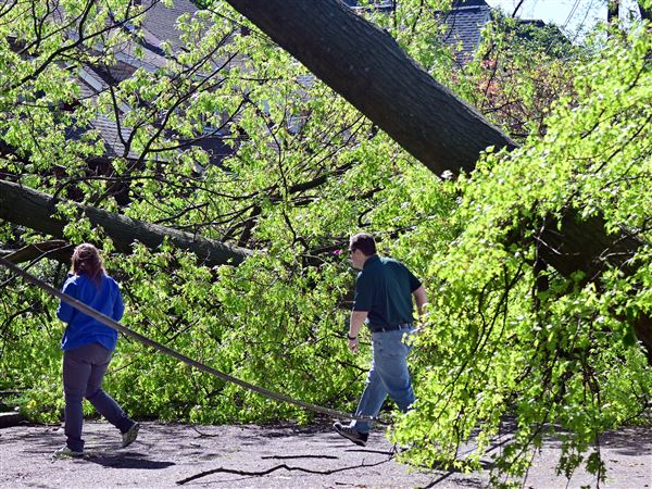 Shannon Hefferan and Chris Leonardi, both lead forecasters for the National Weather Service in Moon, look over Tuesday's storm damage Wednesday, April 30, 2025, in Wilkinsburg.