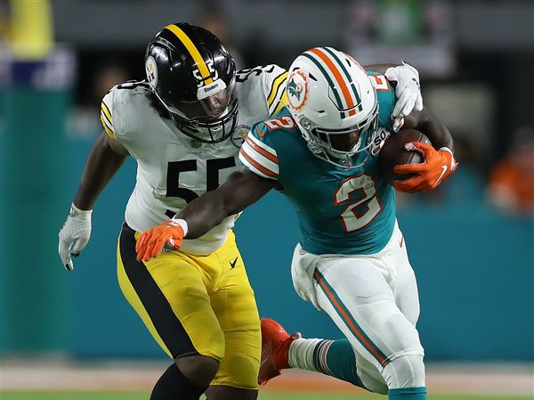 Pittsburgh Steelers: Devin Bush excelling early in rookie season