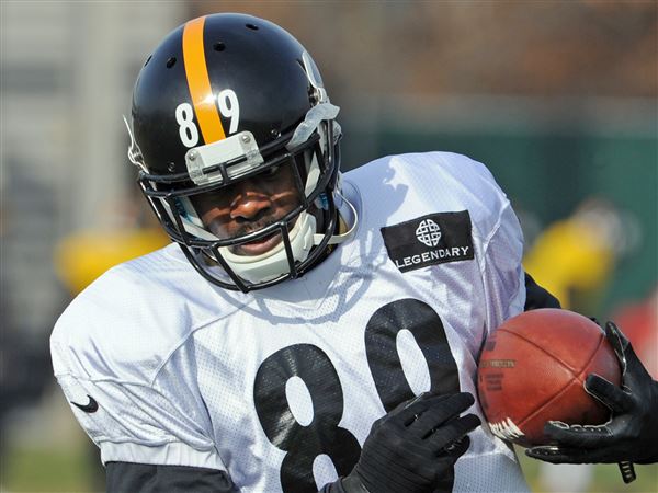 Panthers sign free agent WR Cotchery from Steelers