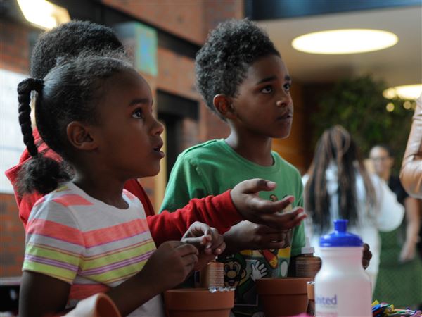 2 Million From Allegheny County And Philanthropies To Fund In Person Summer Camps For Kids Pittsburgh Post Gazette