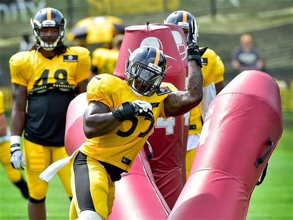 Former Steelers LBs Arthur Moats And Terence Garvin Get Vulnerable