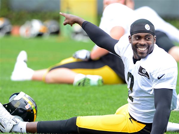 Humbled Vick at peace in reserve role with Steelers, Sports
