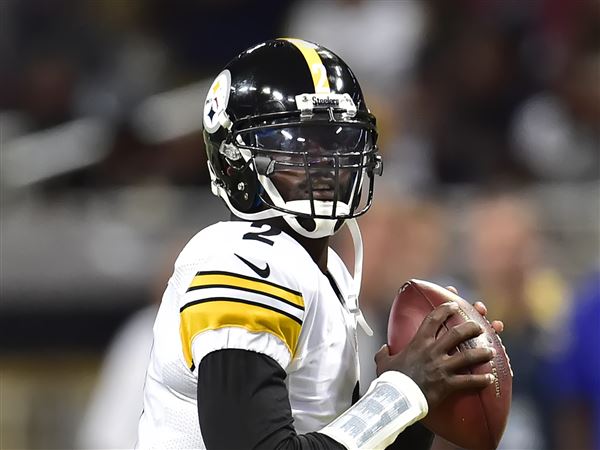 Ron Cook: Forget Michael Vick's past and think about his potential assets  to Steelers