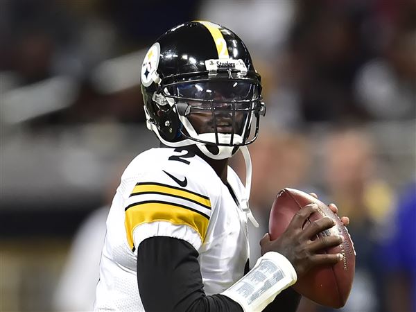 Michael Vick: Pittsburgh Steelers defense did enough to beat