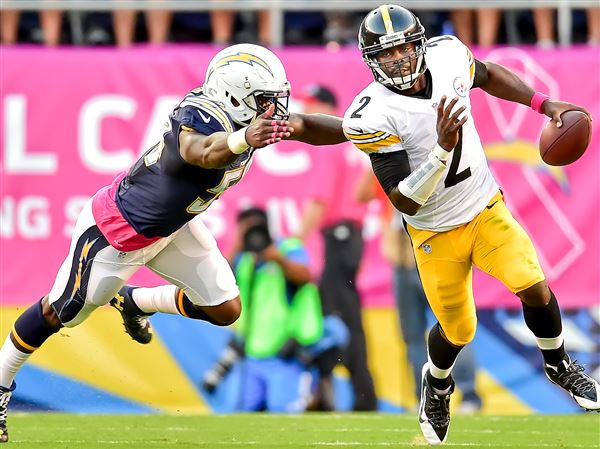 Ron Cook: Forget Michael Vick's past and think about his potential assets  to Steelers