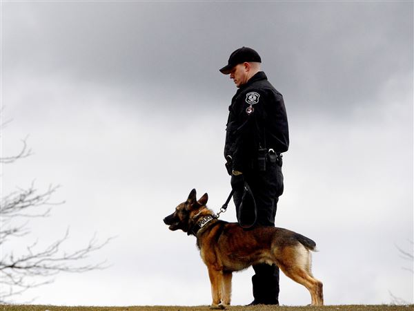 do you have to be a cop to train police dogs