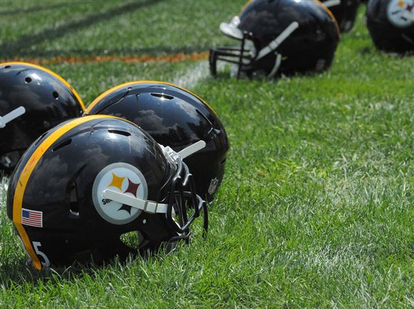 Pittsburgh Steelers full roster heading into training camp