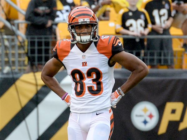 Tyler Boyd reflects on rookie year, talks Pitt star James Conner - Cincy  Jungle