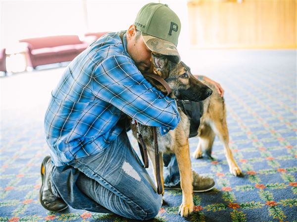 Pet Tales Emotional Support Animals Cause Problems For Service Dogs Pittsburgh Post Gazette