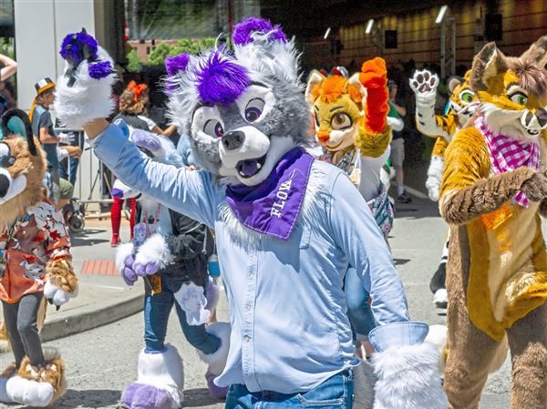 Anthrocon 2022 Schedule Suit Up: Date Set For Anthrocon's Full Furry Return In 2022 | Pittsburgh  Post-Gazette