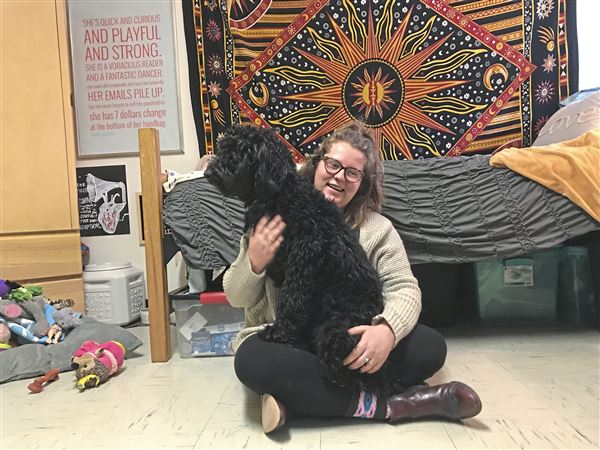More Pa. campuses giving students the chance to bring their pet to school |  Pittsburgh Post-Gazette