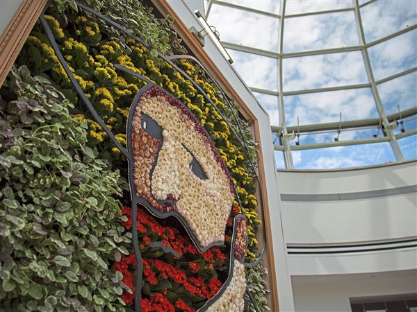 Van Gogh In Bloom Pittsburgh Post Gazette Van Gogh In Bloom Pittsburgh Post Gazette