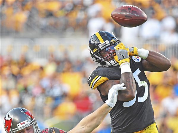 Pittsburgh Steelers: Devin Bush excelling early in rookie season