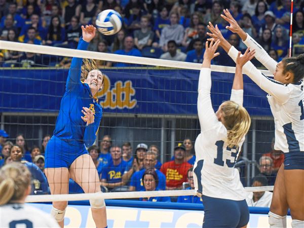 Pitt And Penn State Keeping Rivalry Alive And Competitive On The Volleyball Court Pittsburgh Post Gazette