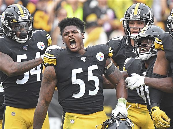 Former Steelers LB Vince Williams Confused by Devin Bush's Career