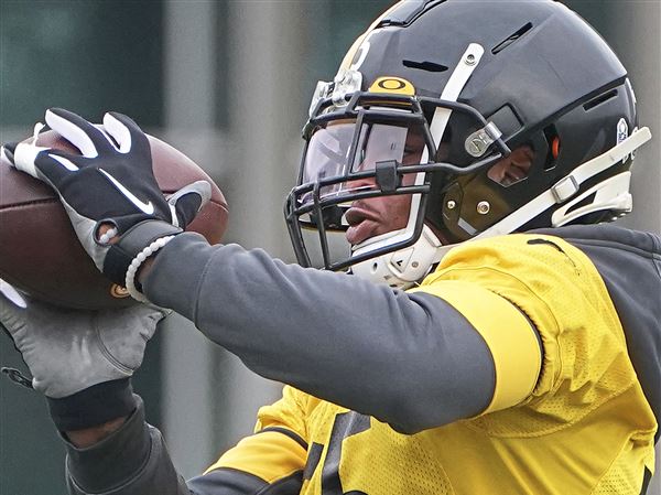 Steelers LB Devin Bush Gets More Playing Time In Week 12 Victory