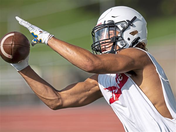 2021 Peters Township Safety Donovan McMillon Receives Offer From Pitt -  Pittsburgh Sports Now