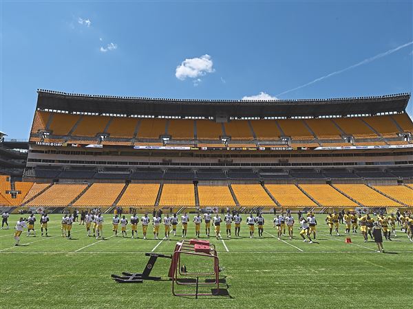 Heinz Field Seat Painting Dispute Pittsburgh Steelers NFL –