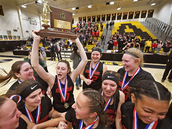 Mohawk falls to South Park in WPIAL 3A championship