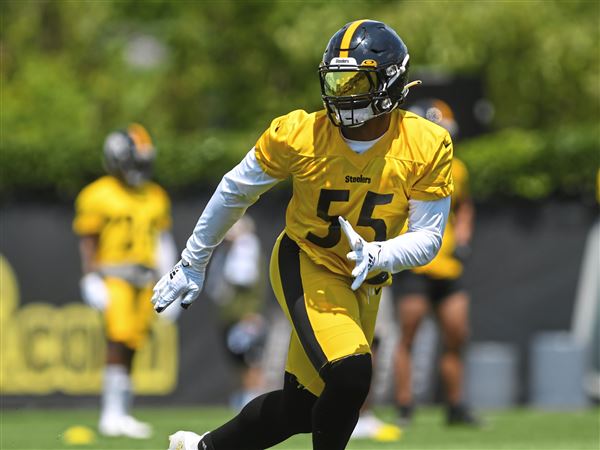 Tomlin: Devin Bush Did What Was Expected Of Him Against Bengals, Which Was  'Winning, Varsity Football' - Steelers Depot