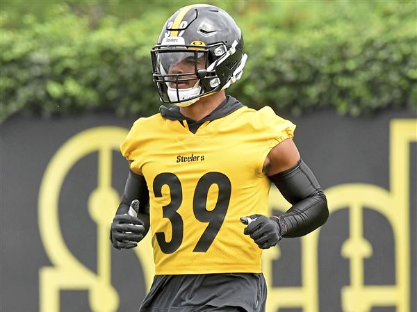 Minkah on the move: Steelers like the Polamalu qualities they see in  Fitzpatrick