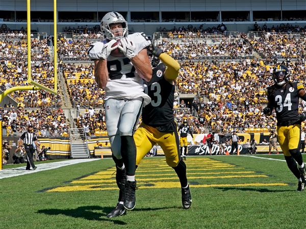 Steelers fans go nuts over T.J. Watt in his return to the field vs Saints