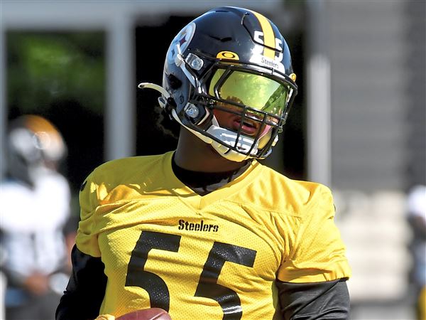 Brain games: Steelers want Devin Bush to take mental leap