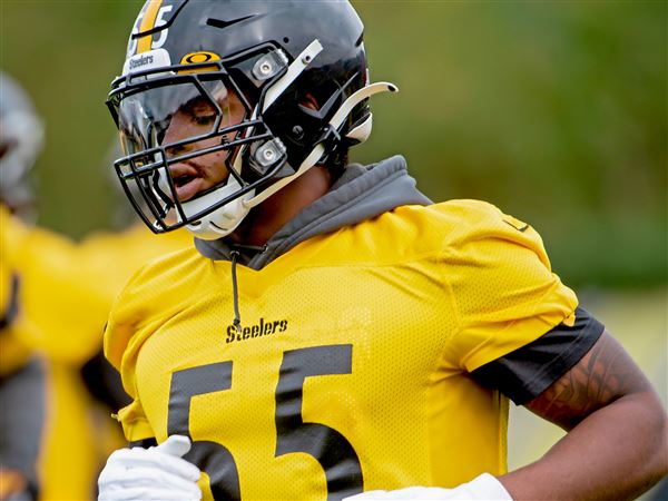 Zach Banner, Devin Bush make appearance on field during Steelers