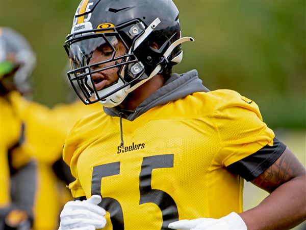 3 reasons Steelers LB Devin Bush should greatly improve in 2022