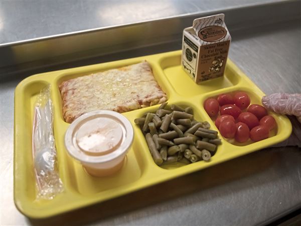 Who decides what goes into school lunches?