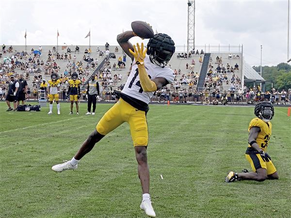 Photo: Steelers George Pickens Scores 24 Yard Touchdown - PIT2022112004 