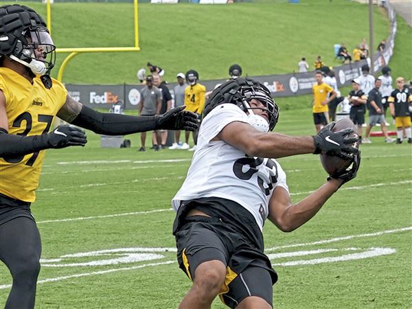 Steelers Connor Heyward Works On TE Basics with Alfredo Roberts