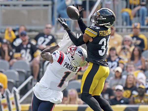 Ray Fittipaldo's Steelers report card: Cam Heyward and the defense wouldn't  let Steelers lose