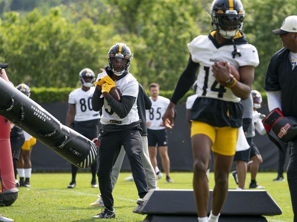 Steelers notebook: Rookies DeMarvin Leal, Mark Robinson make mark on  defense in win