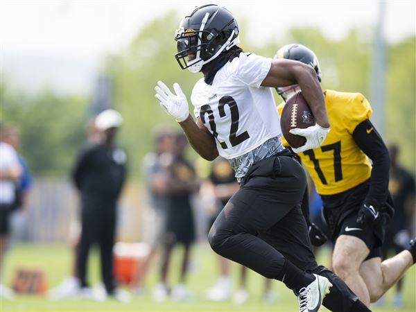 Najee Harris Fantasy Football Outlook (2021 NFL Season)