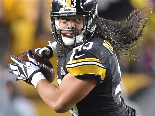 Troy Polamalu, Alan Faneca and Hines Ward among Pro Football Hall