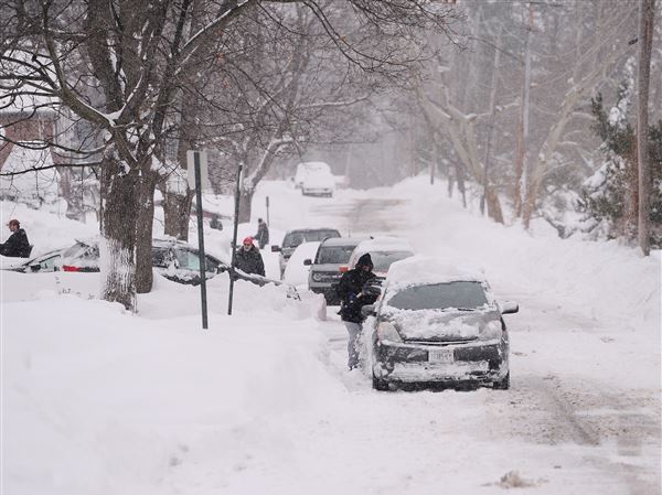 Bills, Browns brace for Buffalo snowstorm: Latest forecast