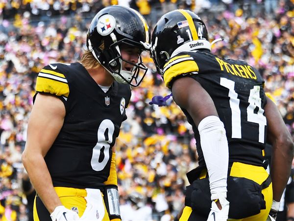 Steelers score late touchdown to beat Ravens, keep playoff hopes alive