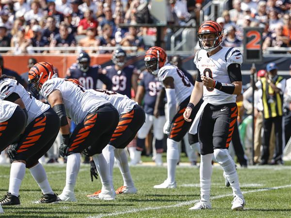 The Cincinnati Bengals Could Reach the Super Bowl, and No, I Am Not Making  That Up - WSJ