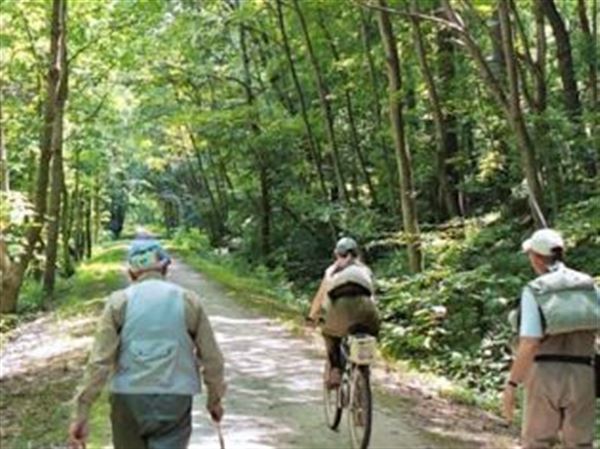 lake wilhelm bike trail