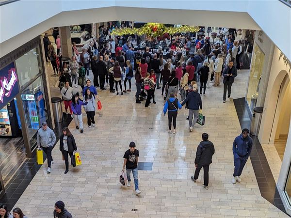 Black Friday: In face of inflation, shoppers battle crowds in hunt