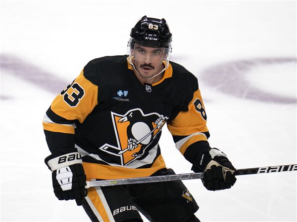 Pittsburgh Penguins: Breaking down how Radim Zohorna fits on team