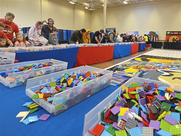 Lego brick fest store hall of science